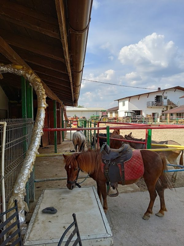 IMG_20220813_165720689_HDR