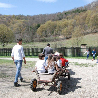excursie-o-zi-dream-travel-stana-lui-mitu-ciobanu-cosesti-2