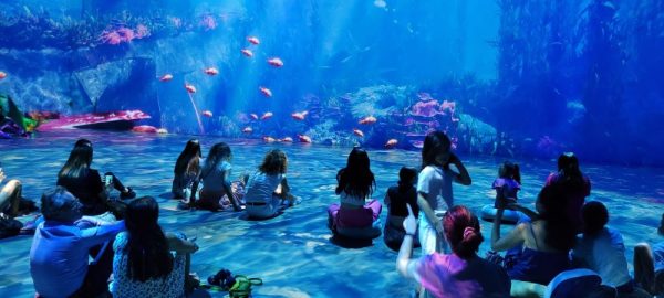 turism scolar organizat de dreamtrip.ro